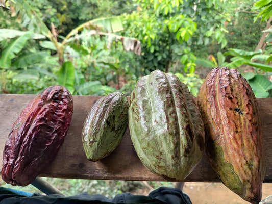 The Food of the Gods in the Heart of the World
